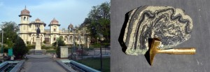 GulabBaag and scenic green enirvons of SaraswatiBhawan. Rock samples to be displayed. 